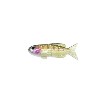 Iwana Fish Magnet